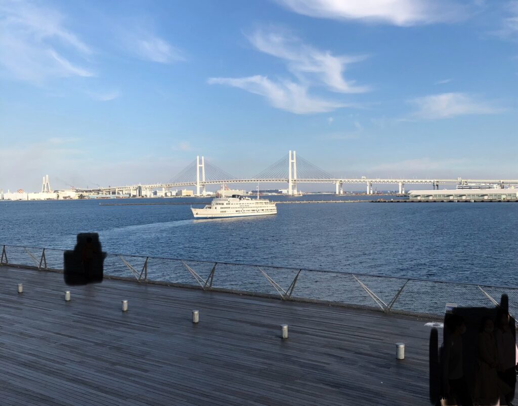 横浜大さん橋の屋上デッキの様子(日中)