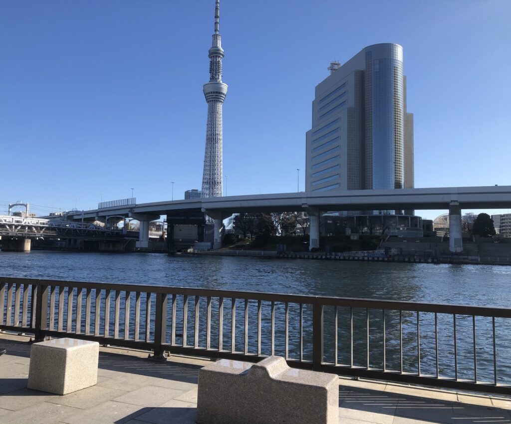 隅田川公園前の縁石とスカイツリー