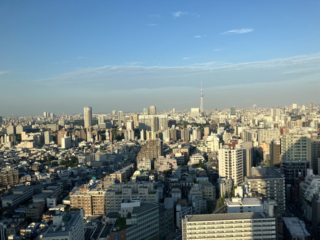 日中のスカイツリー方面の景色