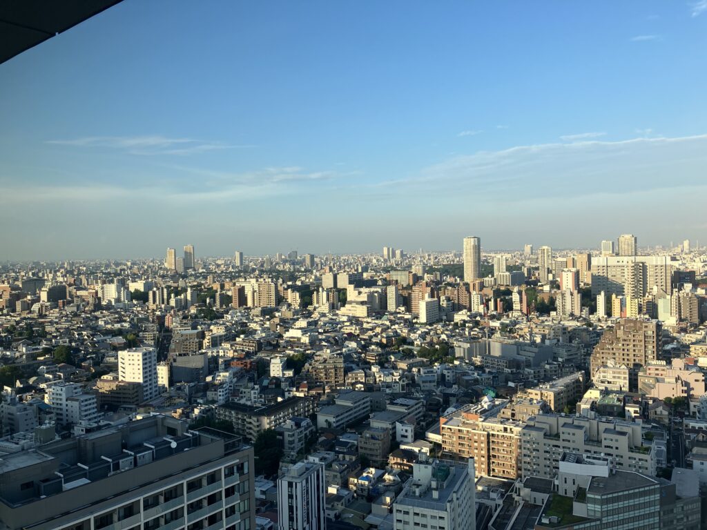 日中の谷中方面の景色