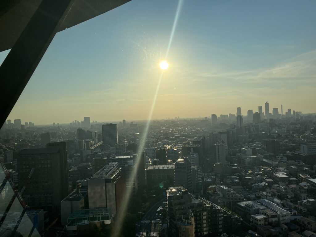 日中の新宿、池袋方面の景色