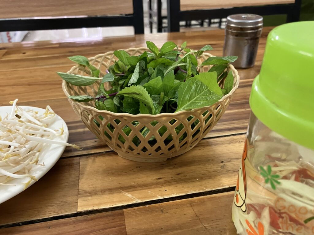 飲食店でフォーと一緒に出されたもやしと香草