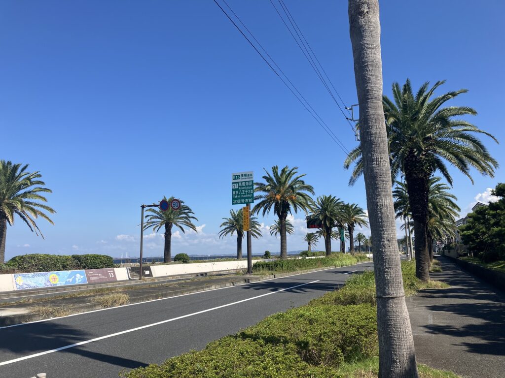 馬堀海岸の海岸線