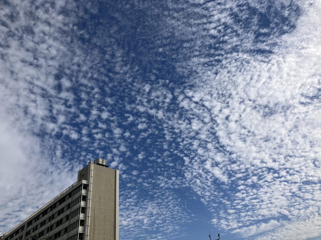 数多の鱗雲