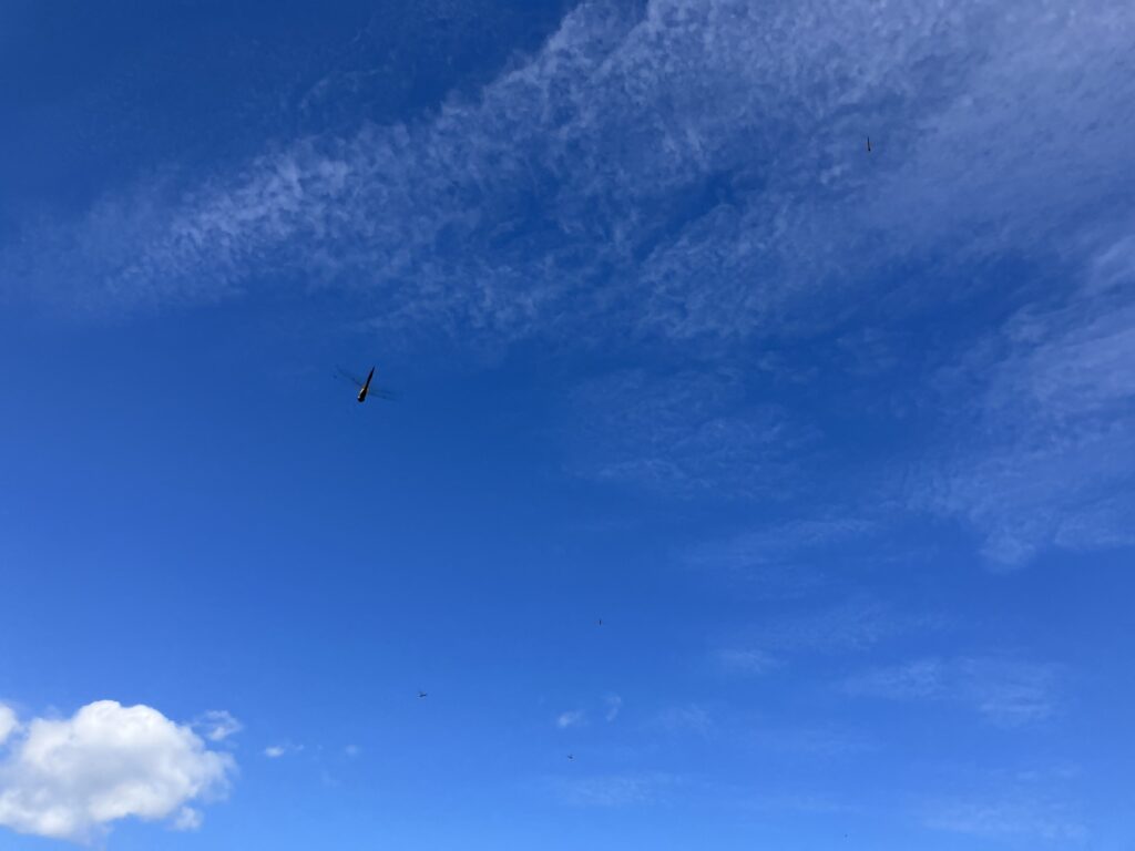 穏やかな昼下がりの青空