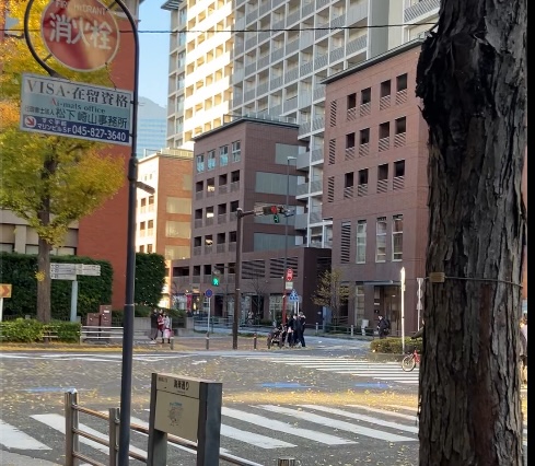 風に舞う銀杏の葉