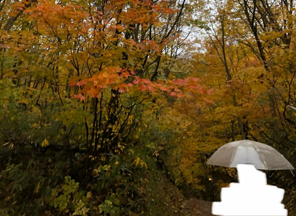 蟹場温泉の露天風呂への道