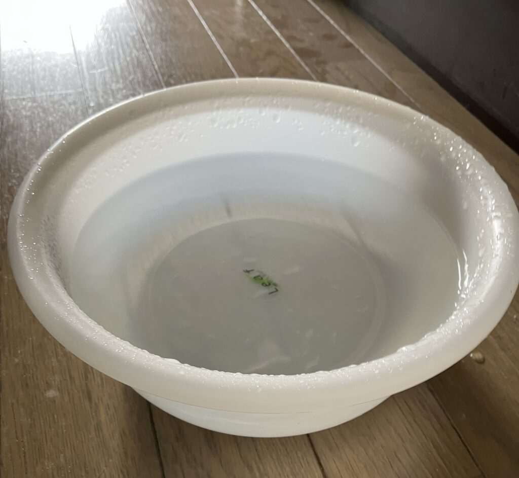 洗面器一杯に溜まった水