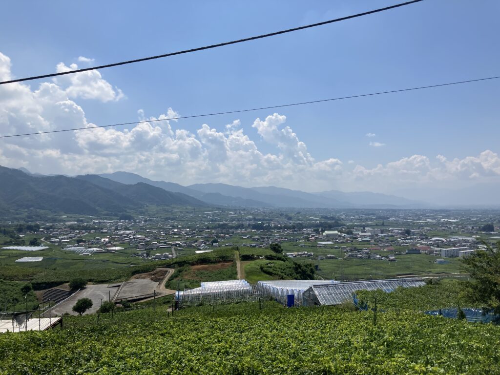 山梨県、勝沼のぶどうの丘