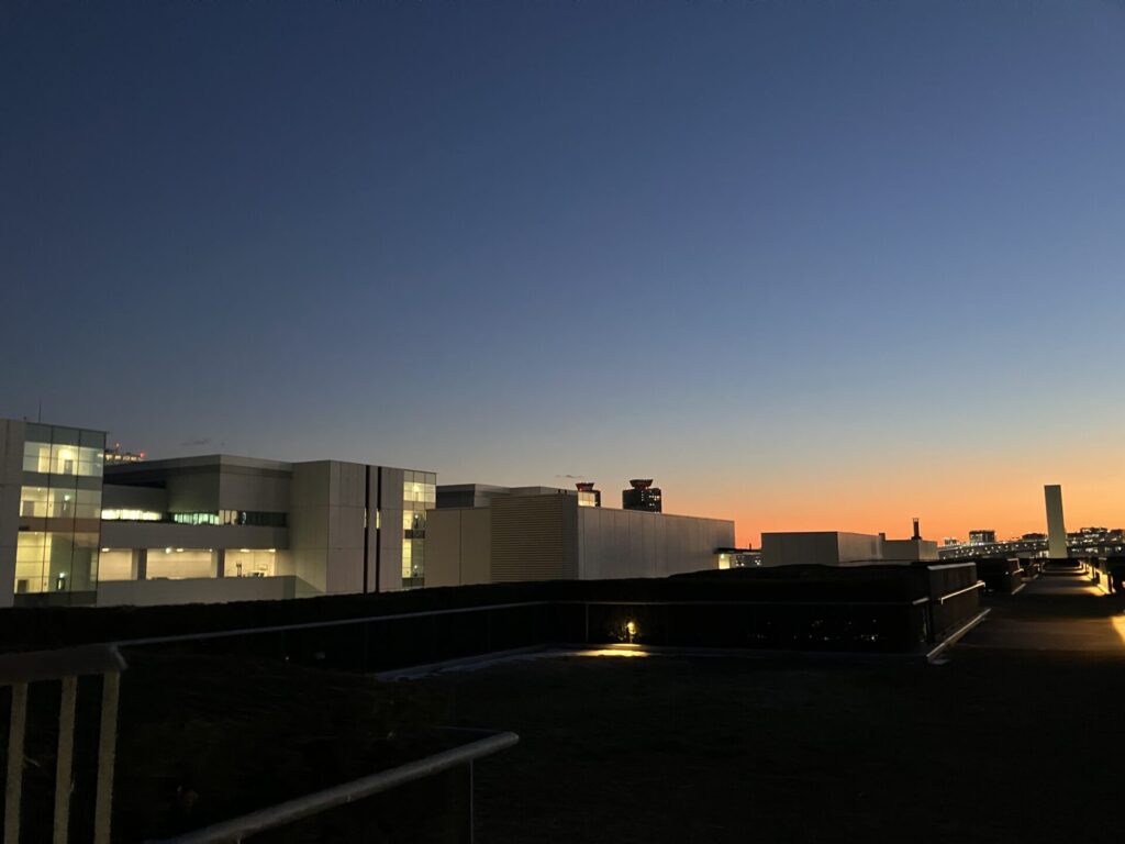 豊洲市場屋上緑化広場からの夕焼け2