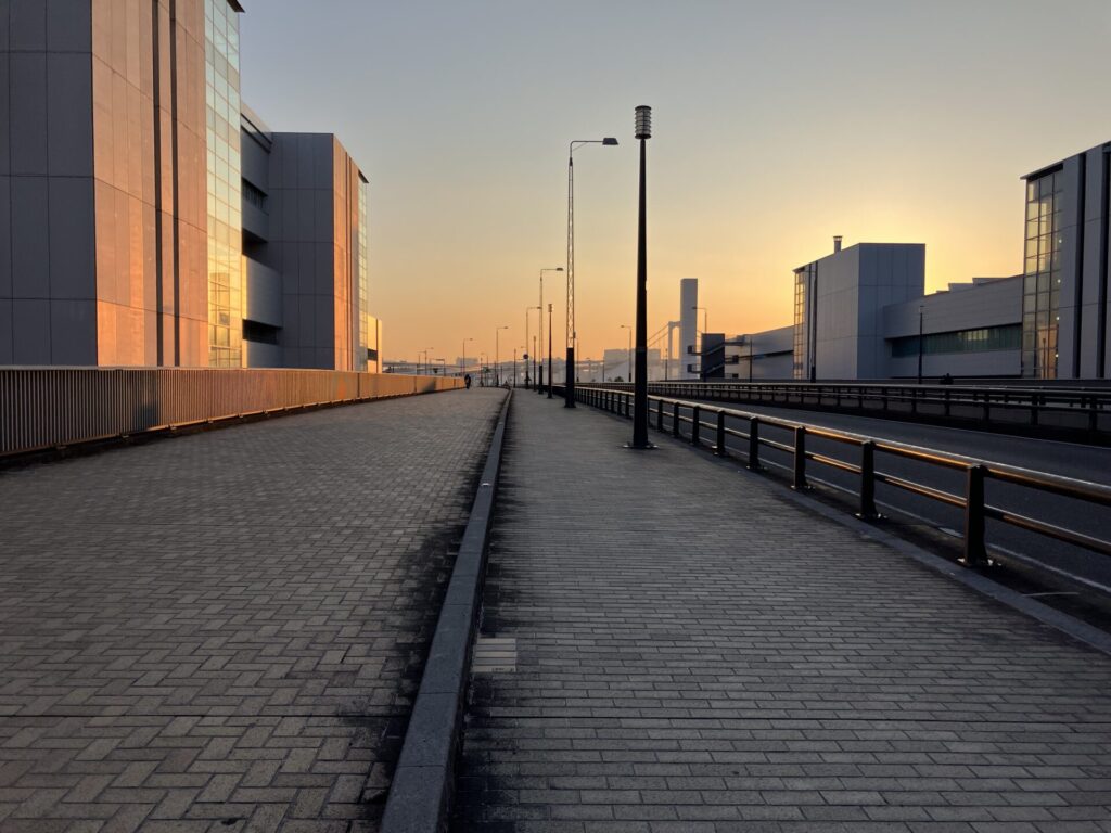 都道484号線の様子(夕方)