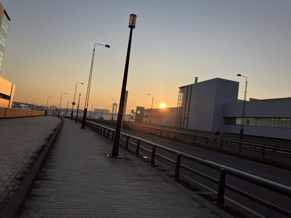 都道484号線から夕日を望む