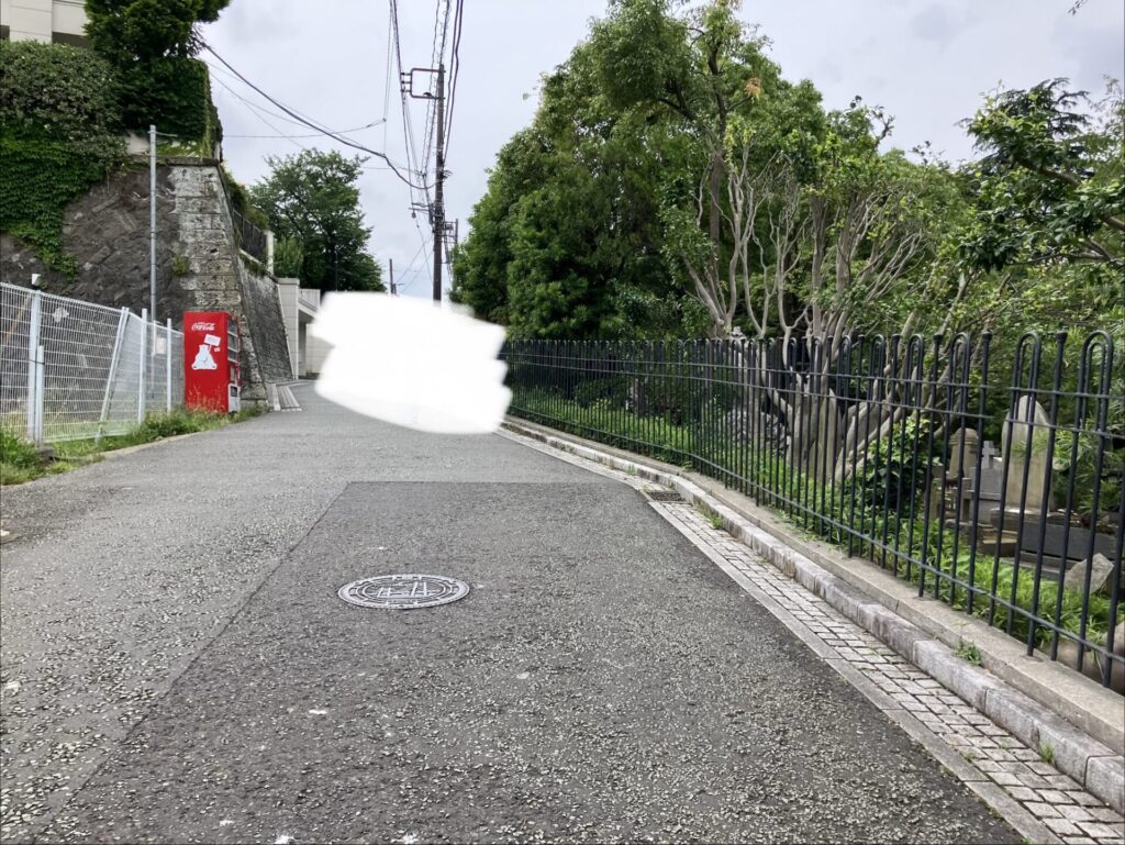 横は外国人墓地