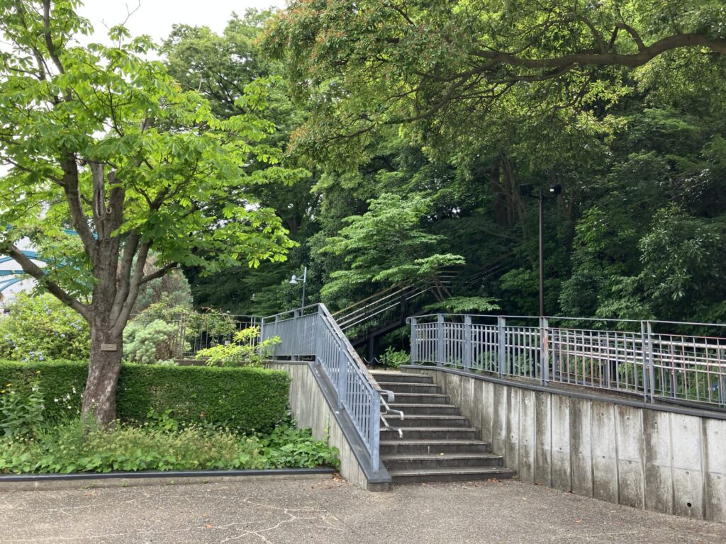 フランス山を登る階段