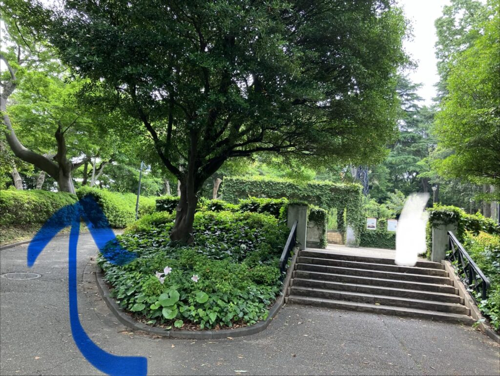 階段先の遺跡
