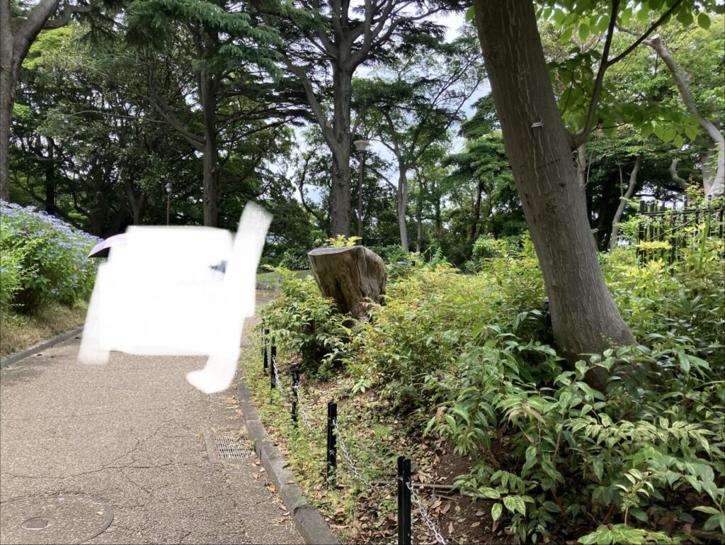 遺跡横の通り道