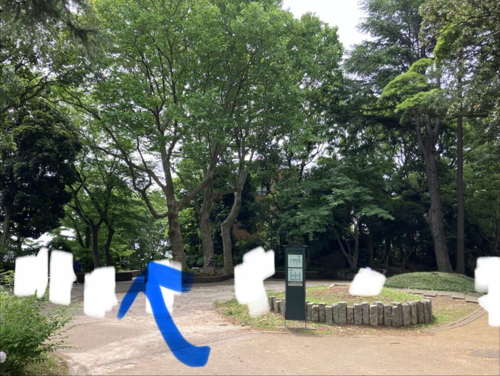 広場と木々