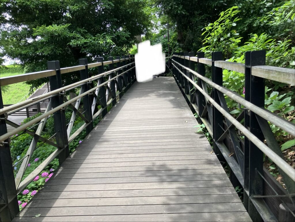 ウッドデッキの先に展望台