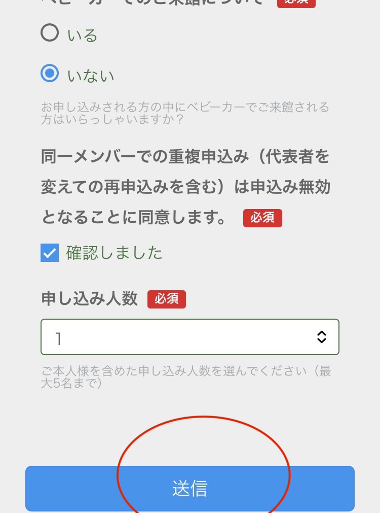 フォームを入力すると、最後に送信ボタンが押せるようになります
